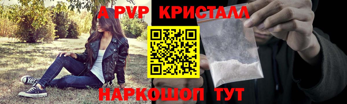 Alpha PVP СК КРИС Майкоп