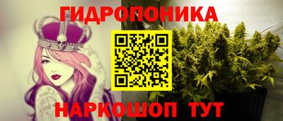 скорость Жуковский