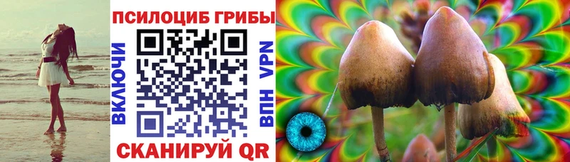 Псилоцибиновые грибы мицелий  Майкоп 