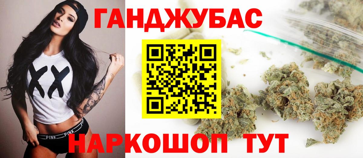 Конопля сатива Майкоп